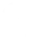 Sport Betting